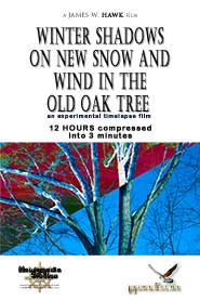 Official movie poster for WINTER SHADOWS ON NEW SNOW AND WIND IN THE OLD OAK TREE by James W. Hawk